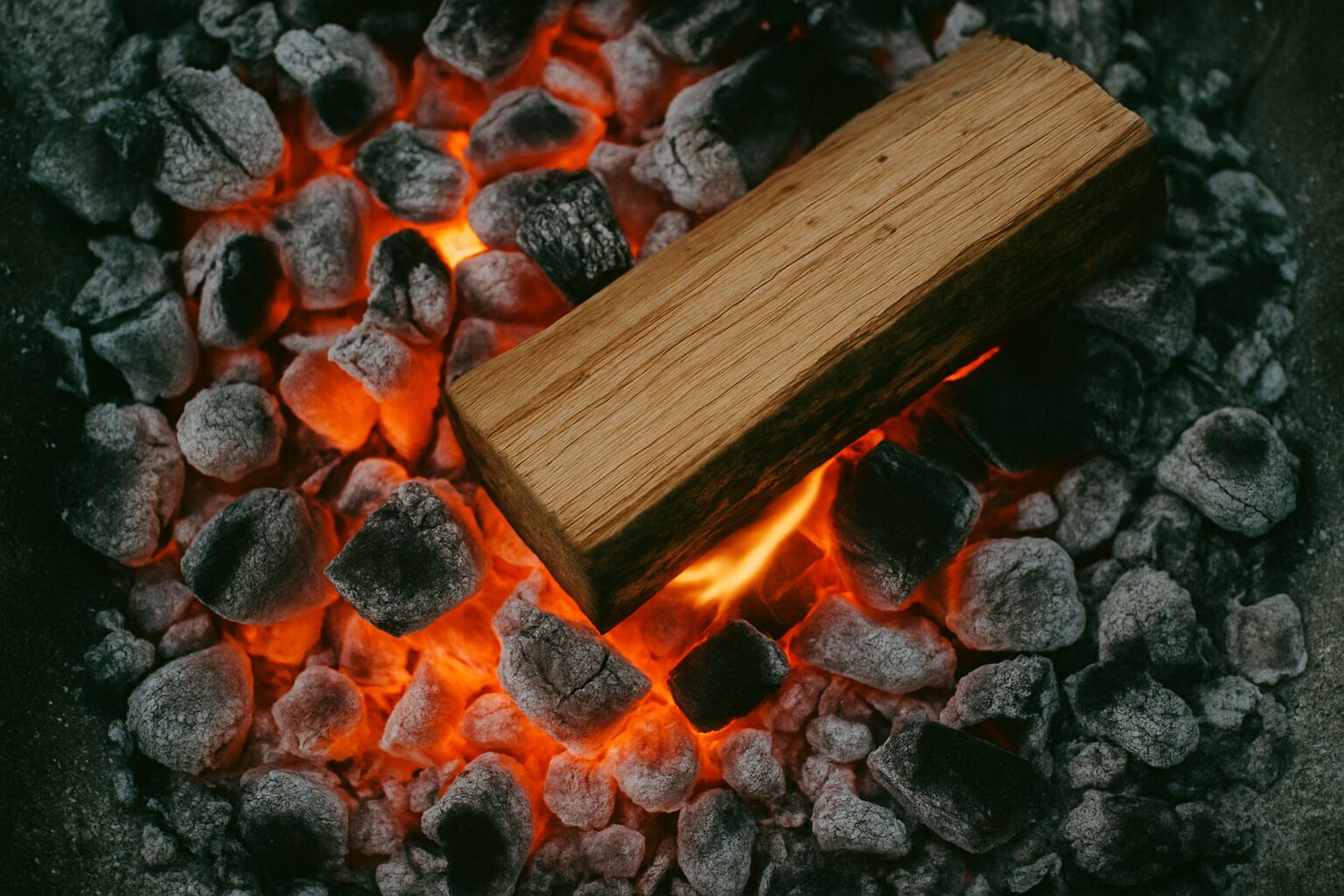 A fresh log on the coals